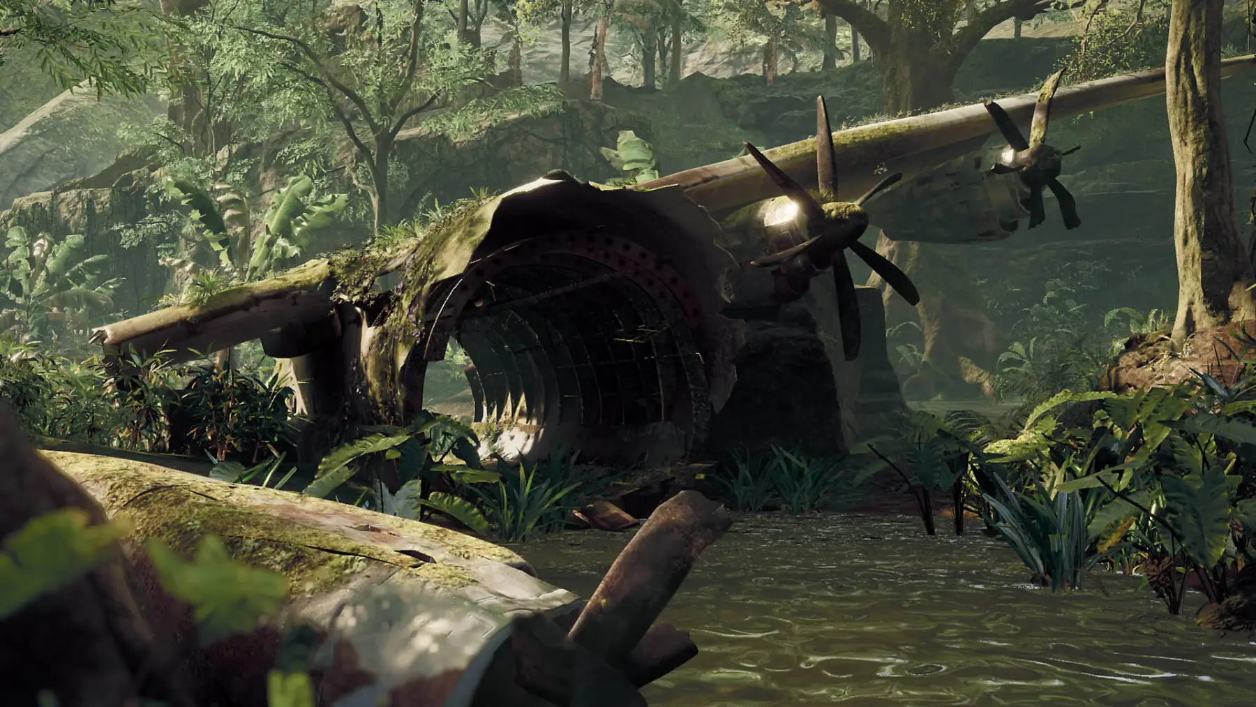 image du jeu