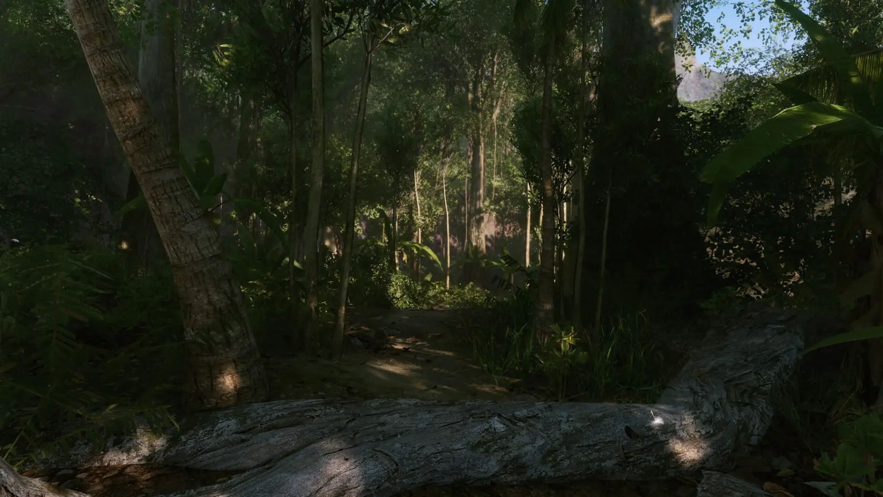 Image du jeu Crysis Remastered