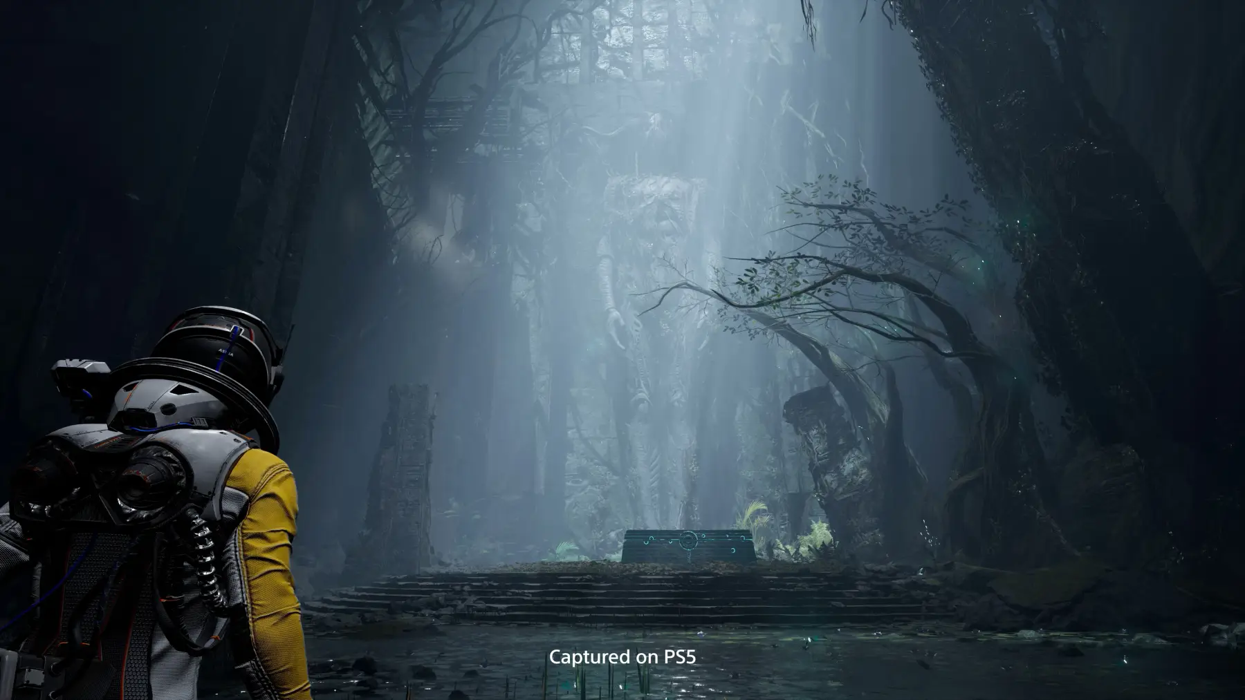 image du jeu