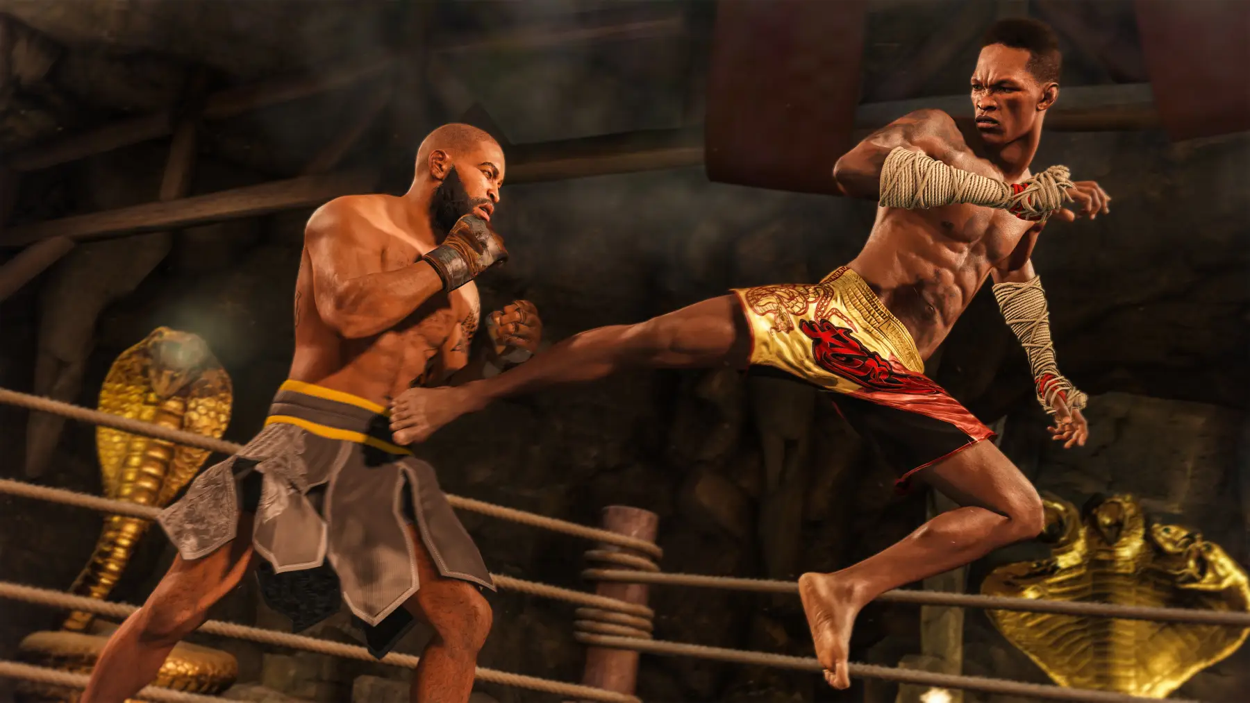 Image du jeu EA Sports UFC 4