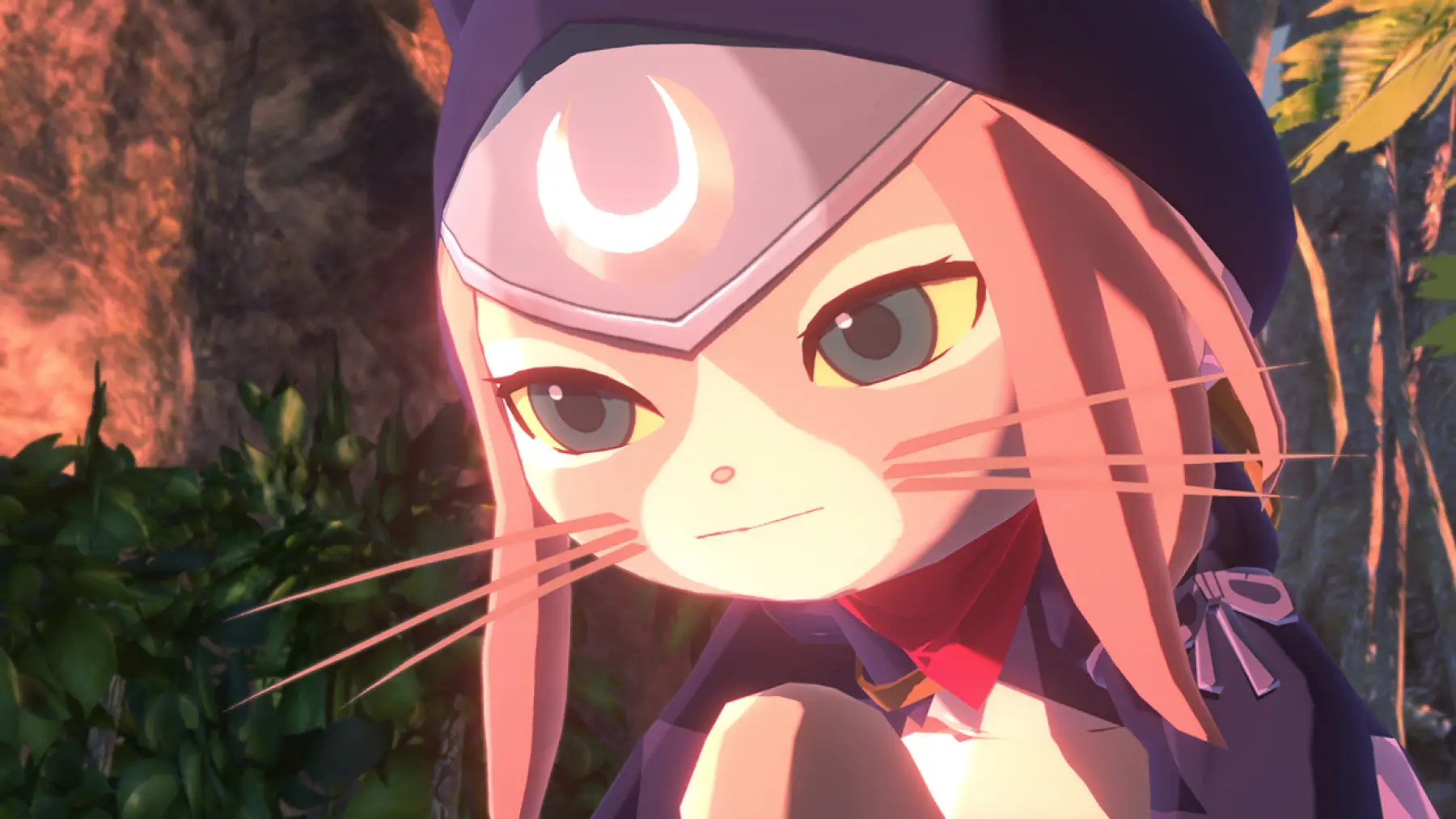image du jeu