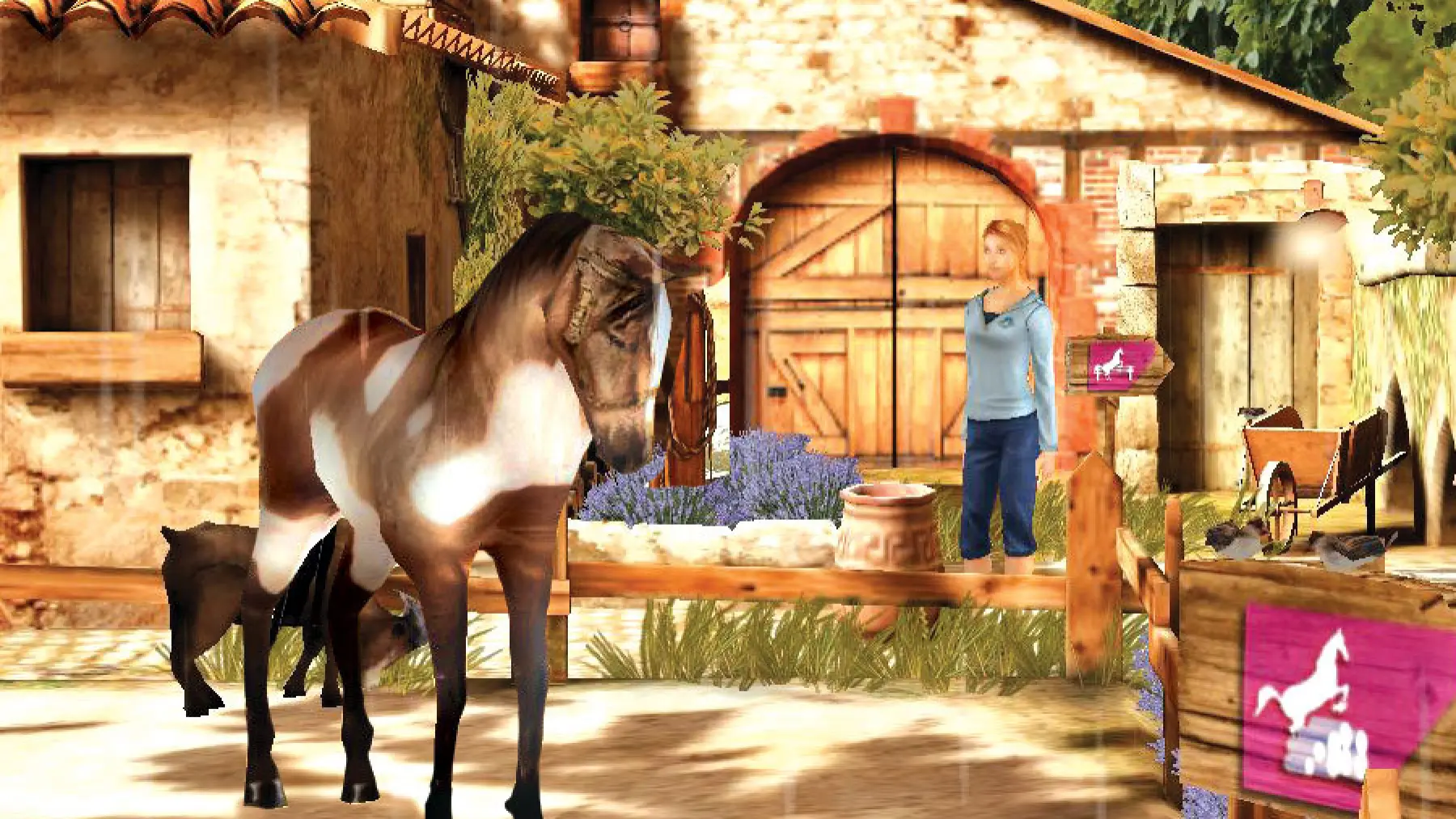 Image du jeu Petz: Horsez 2
