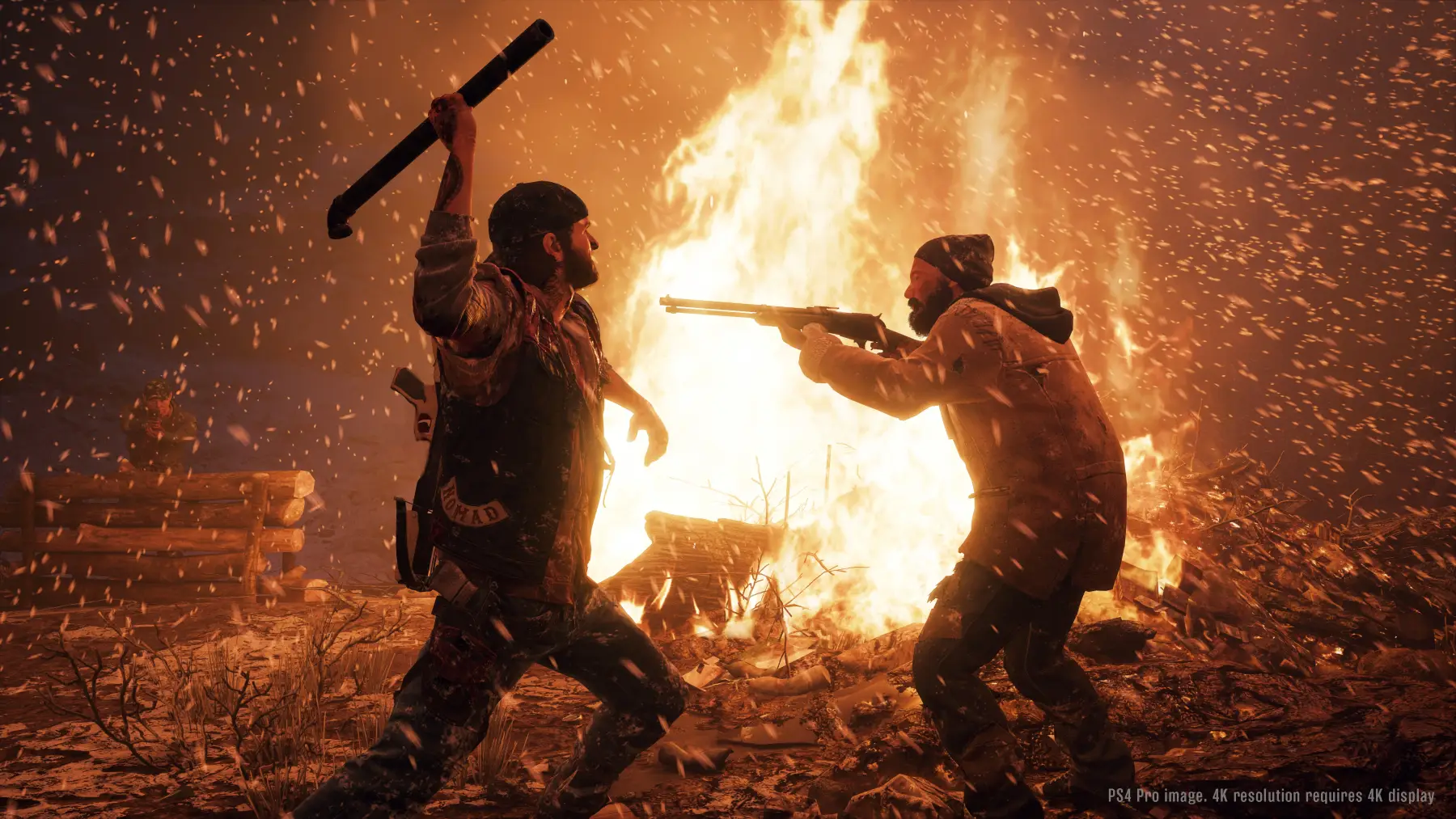 Image du jeu Days Gone