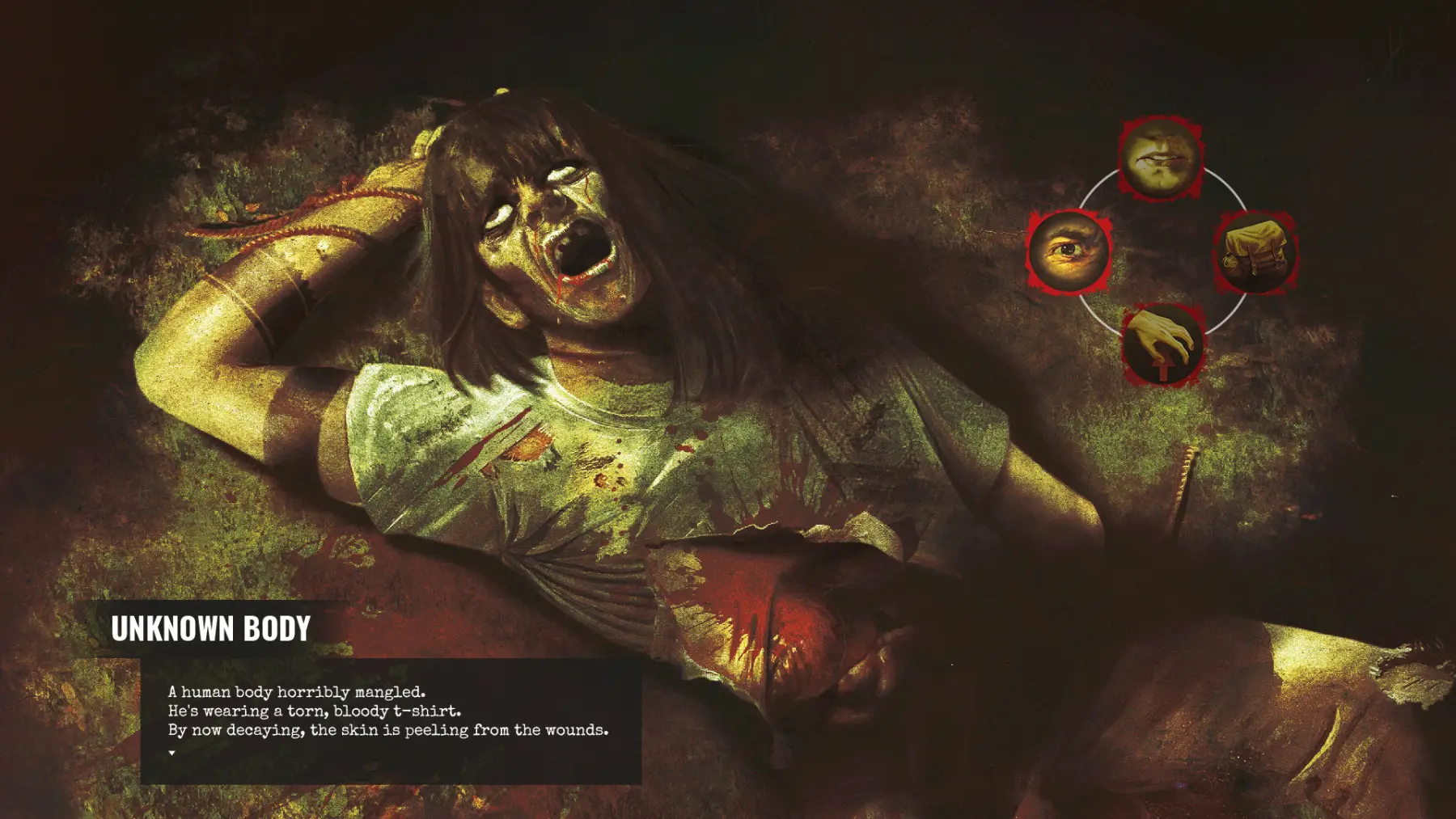 image du jeu