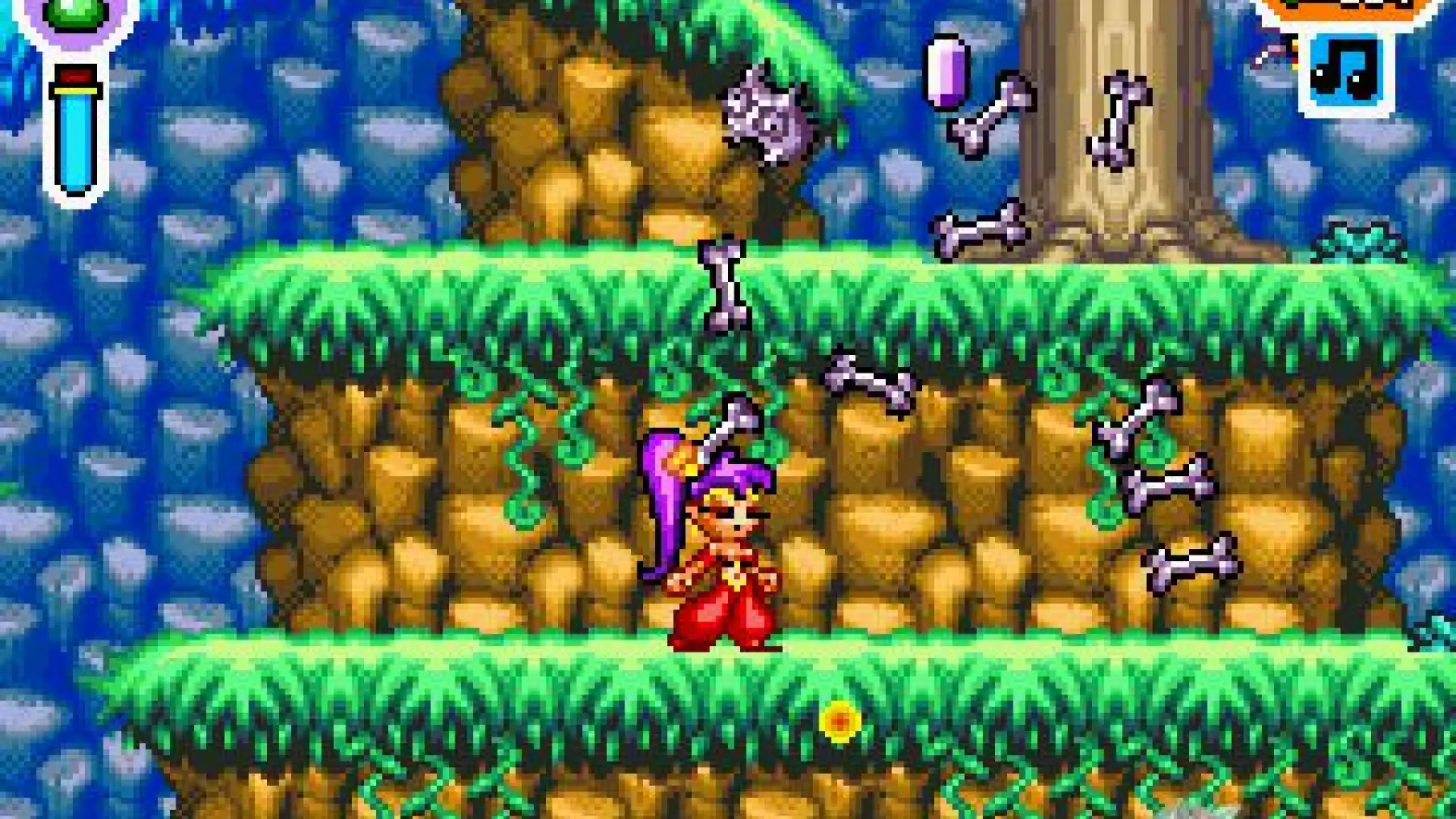 image du jeu