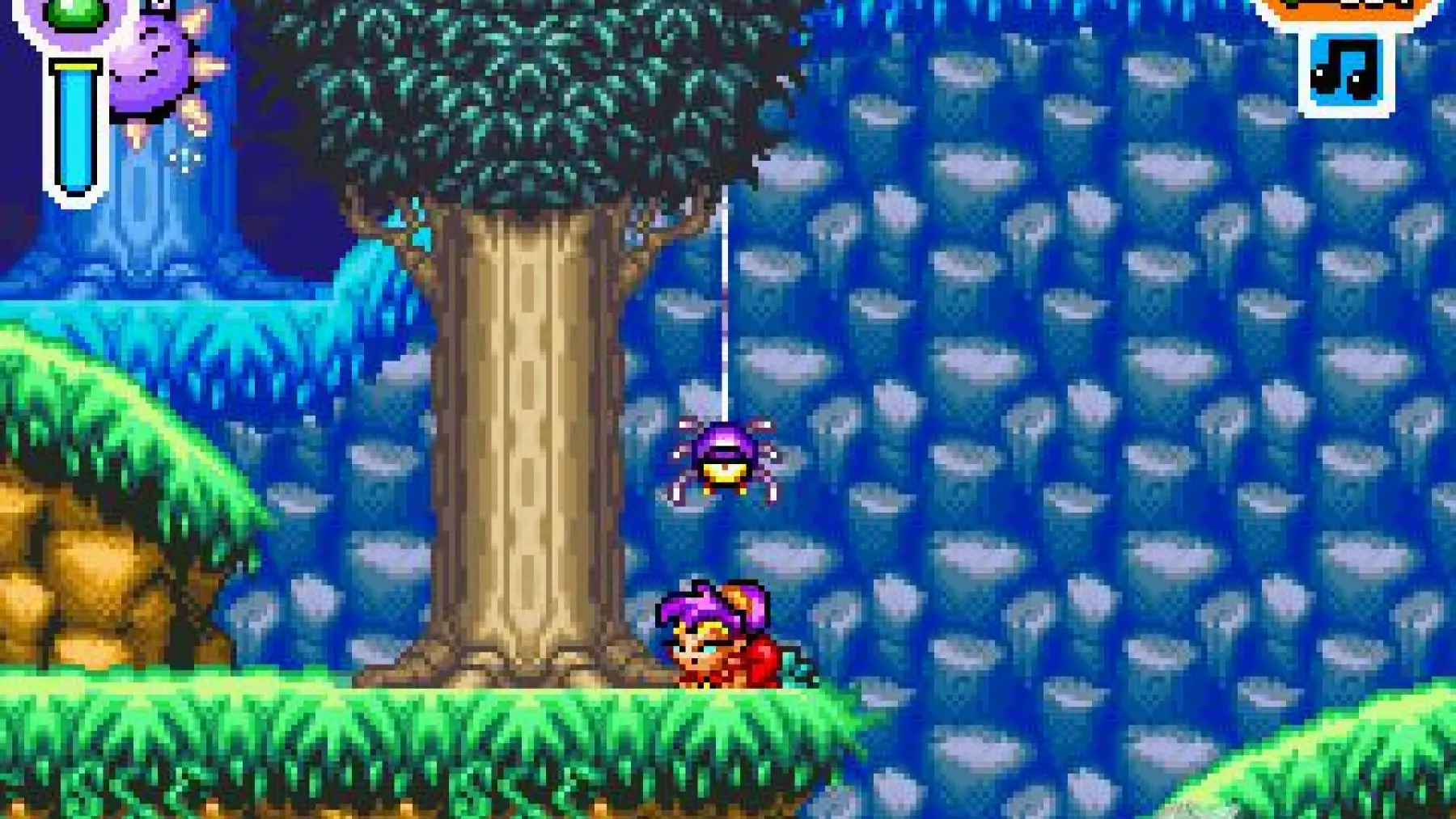 Image du jeu Shantae Advance: Risky Revolution