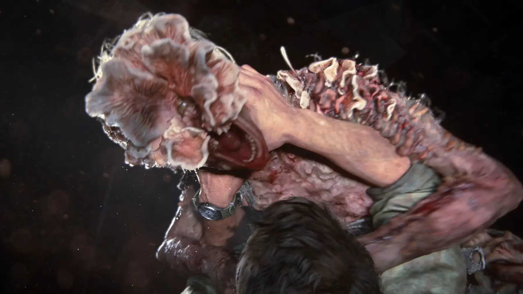 Image du jeu The Last of Us Part I