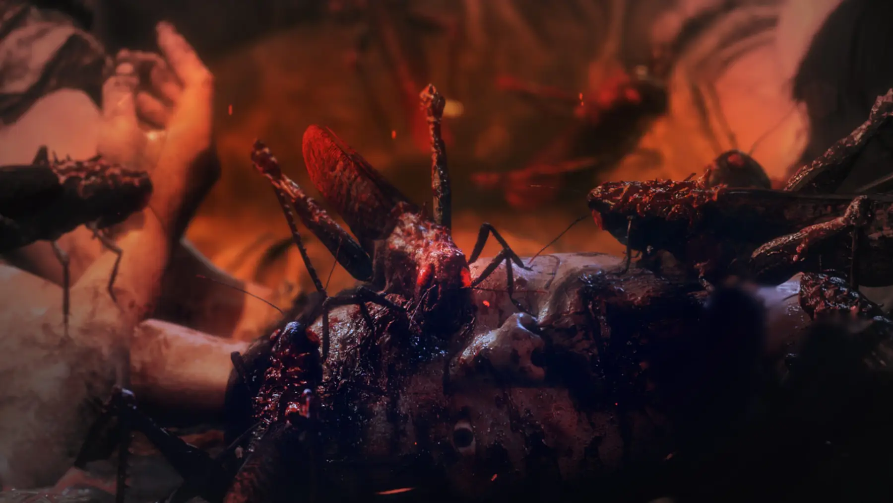 Image du jeu Wo Long: Fallen Dynasty