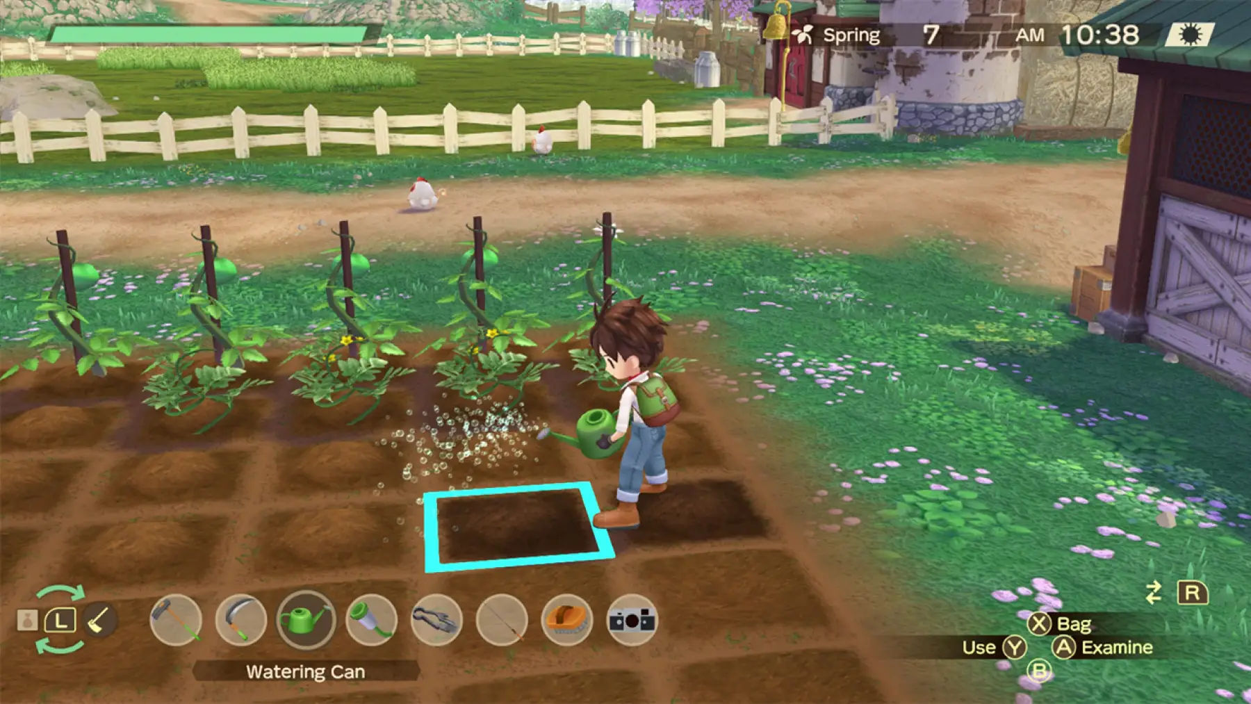 Image du jeu Story of Seasons: A Wonderful Life
