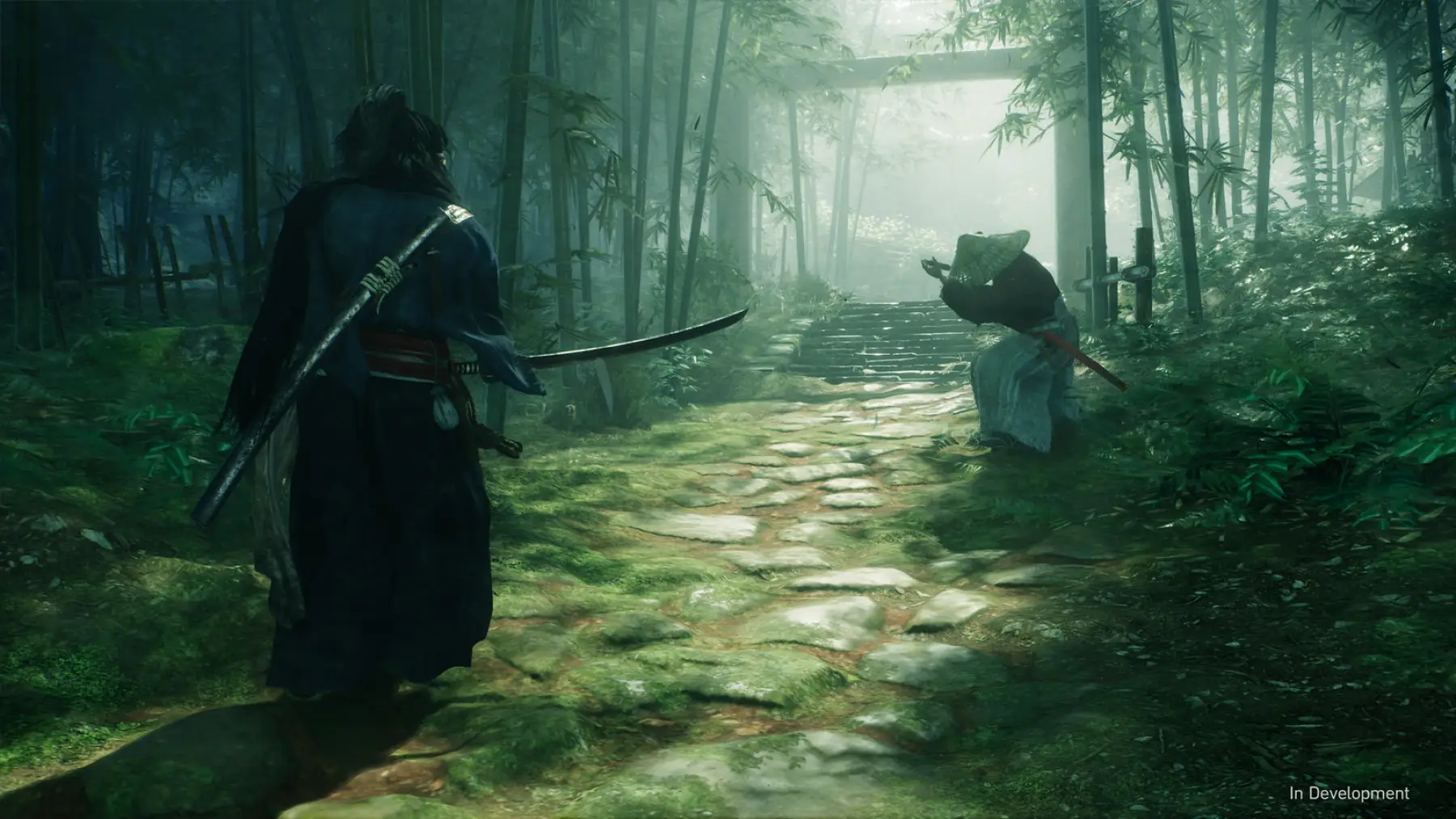 Image du jeu Rise of the Ronin