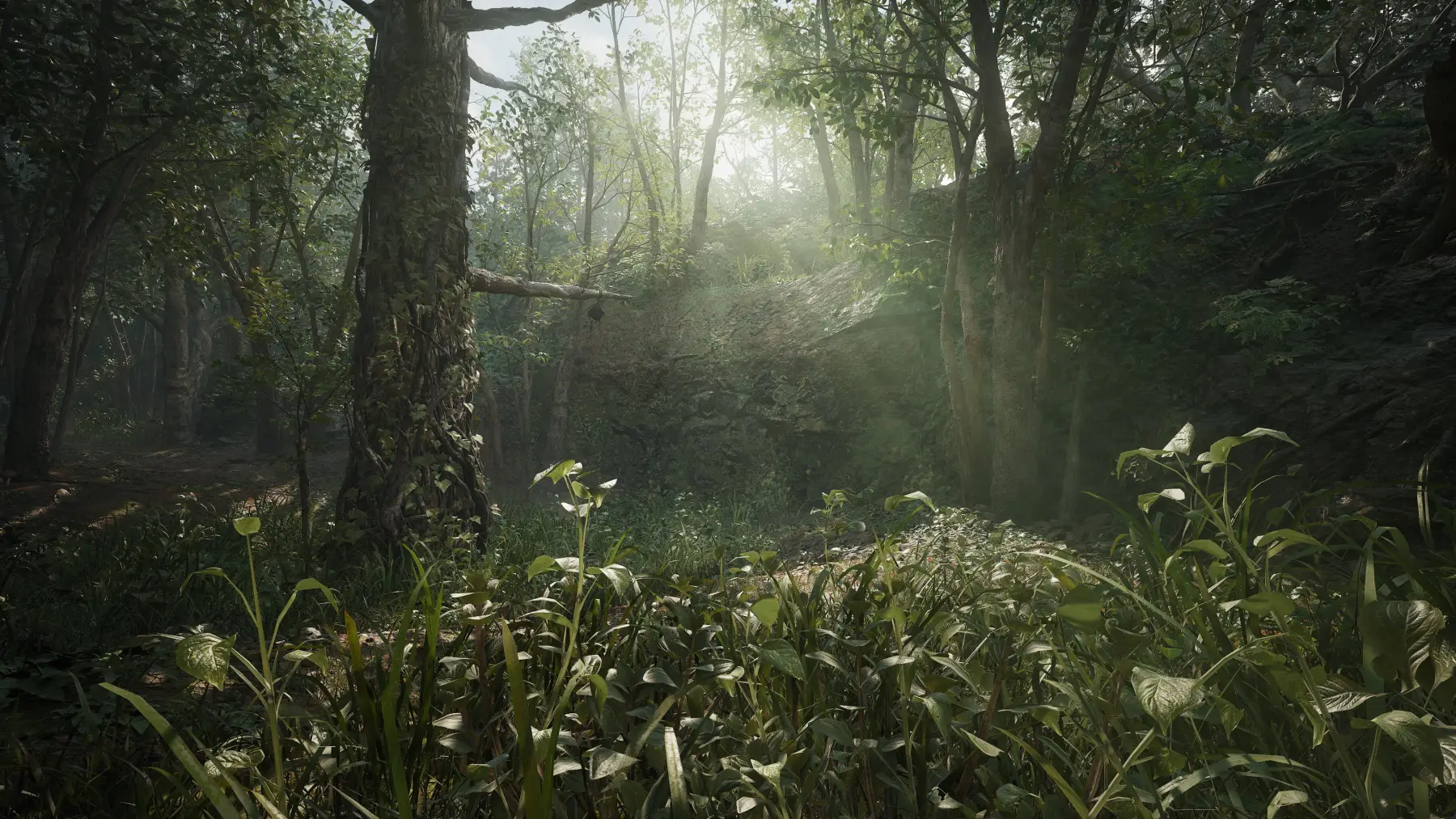 Image du jeu Metal Gear Solid Delta: Snake Eater