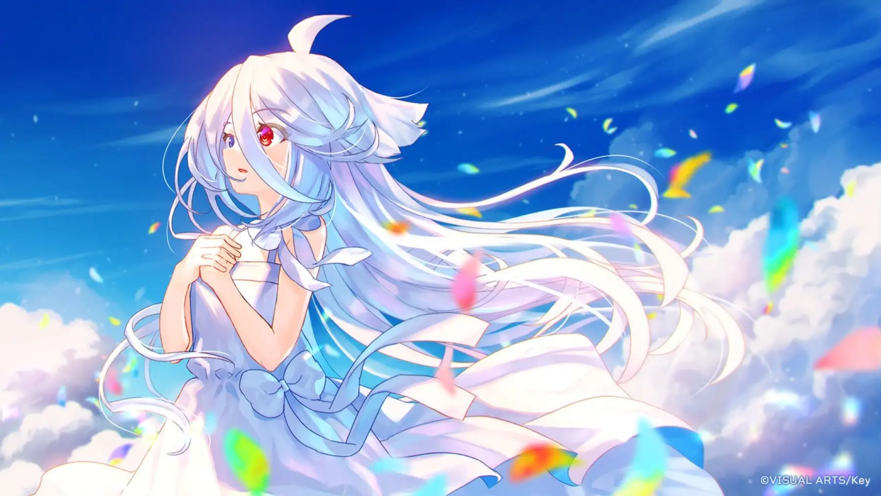 image du jeu