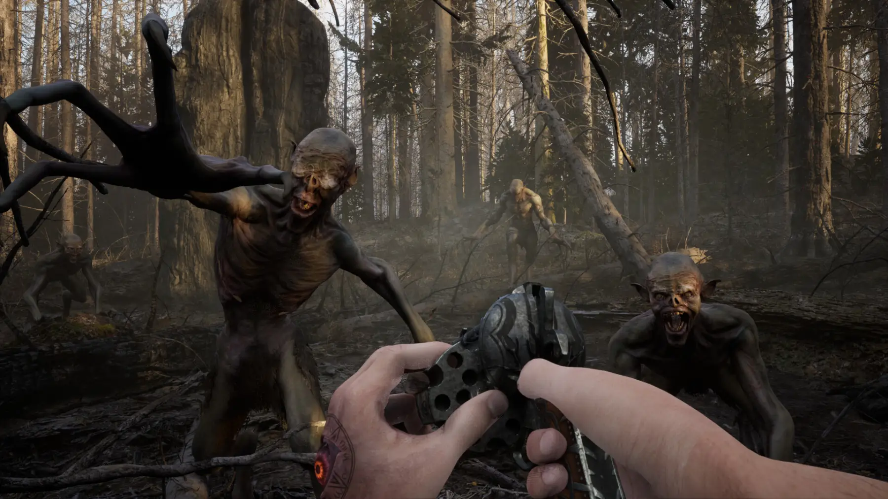 image du jeu