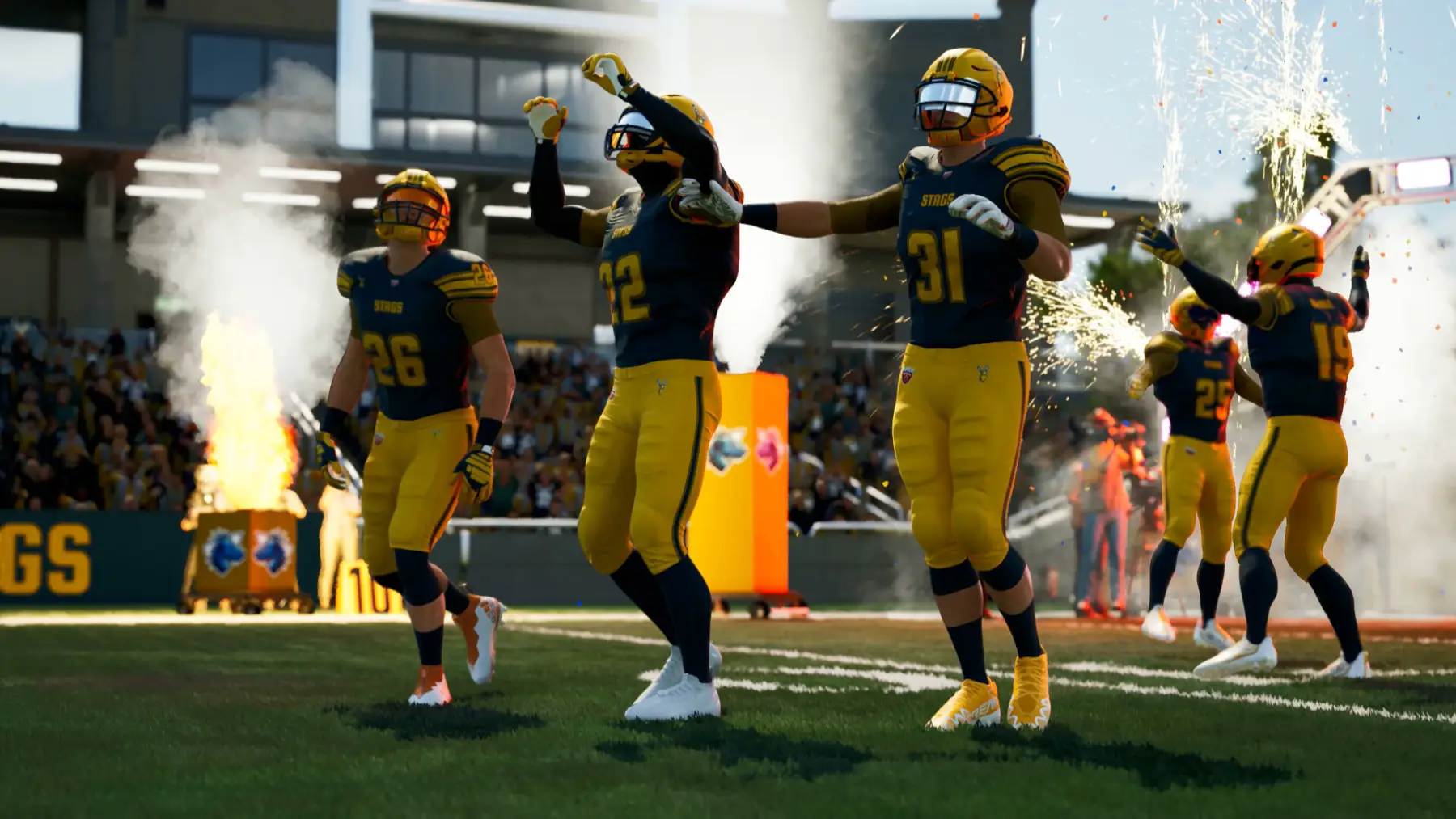 Image du jeu Maximum Football