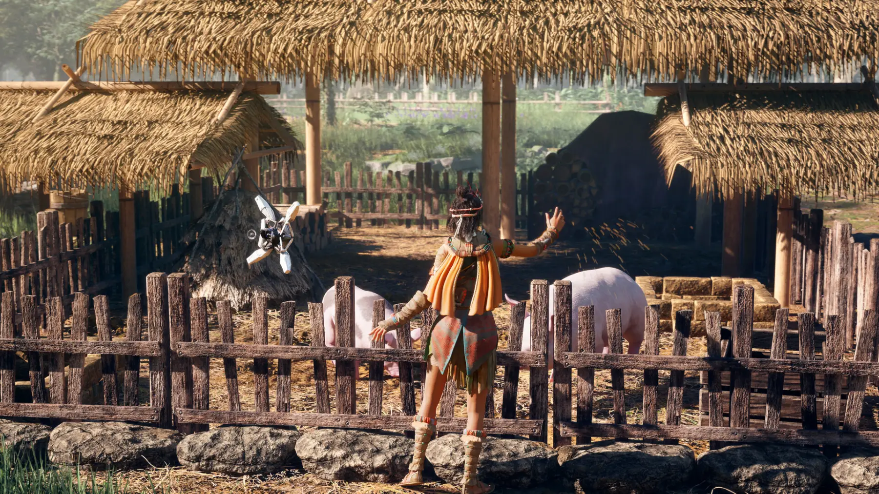 image du jeu