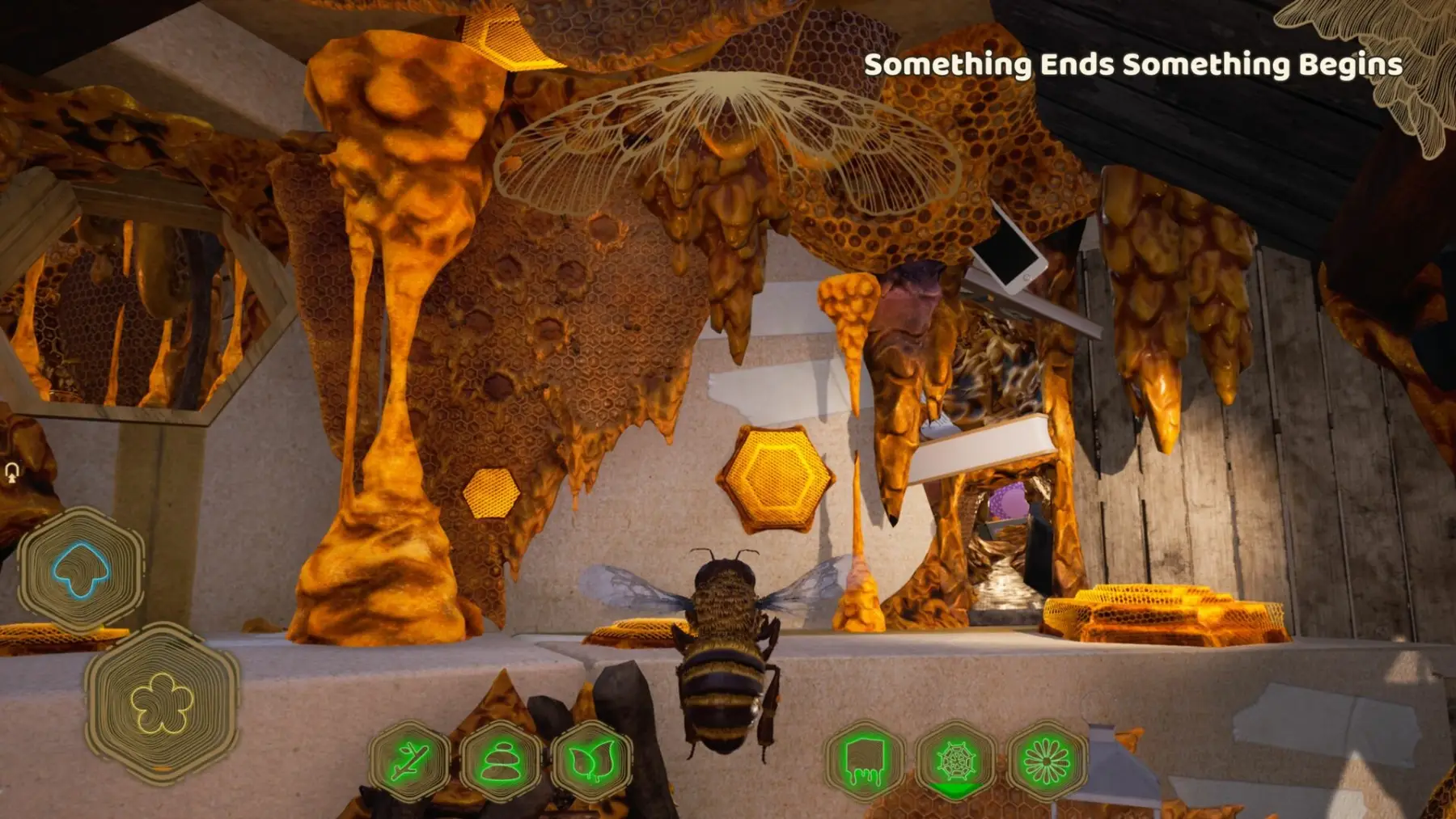 image du jeu