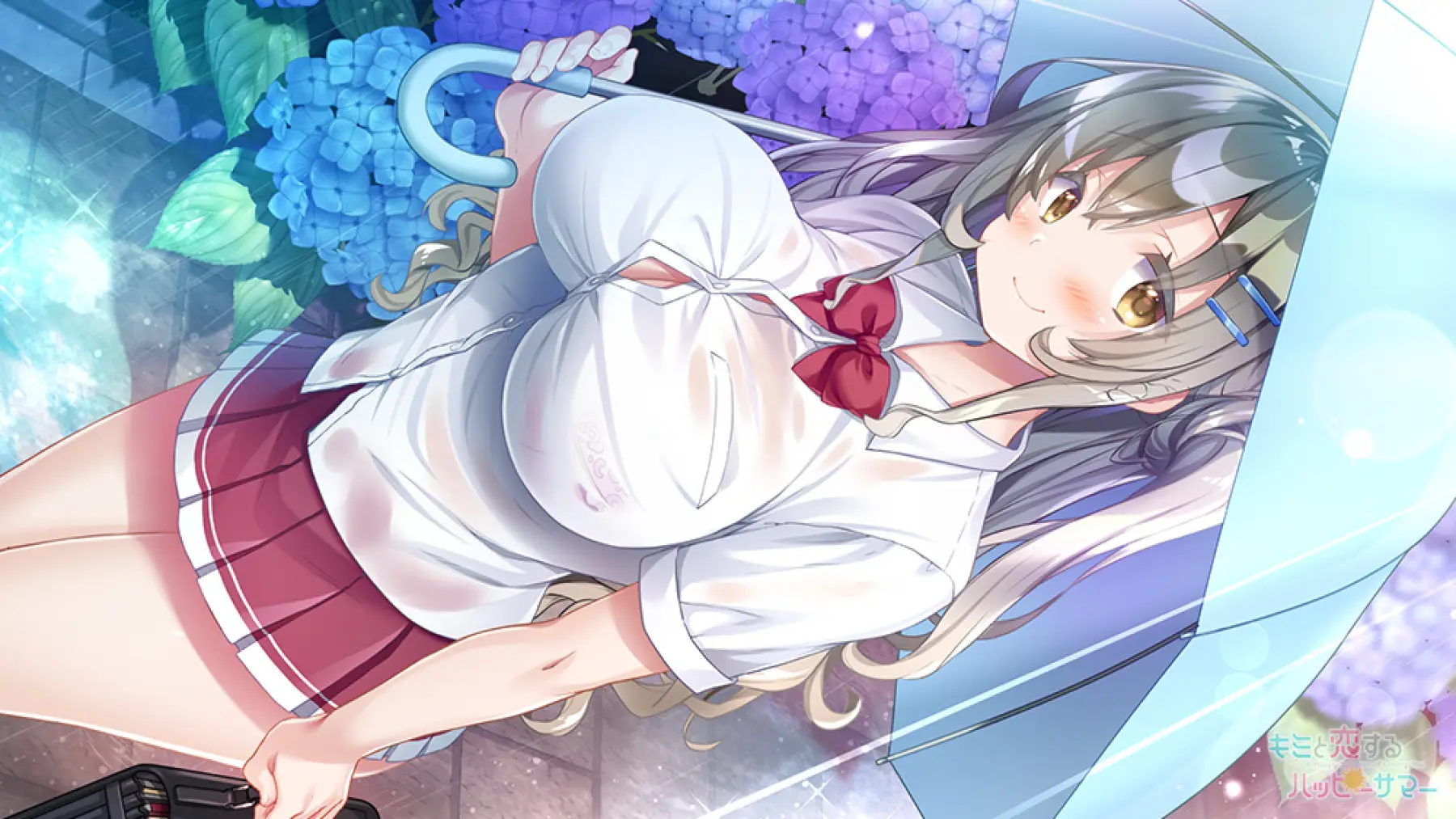 Image du jeu A Happy Summer of Loving You
