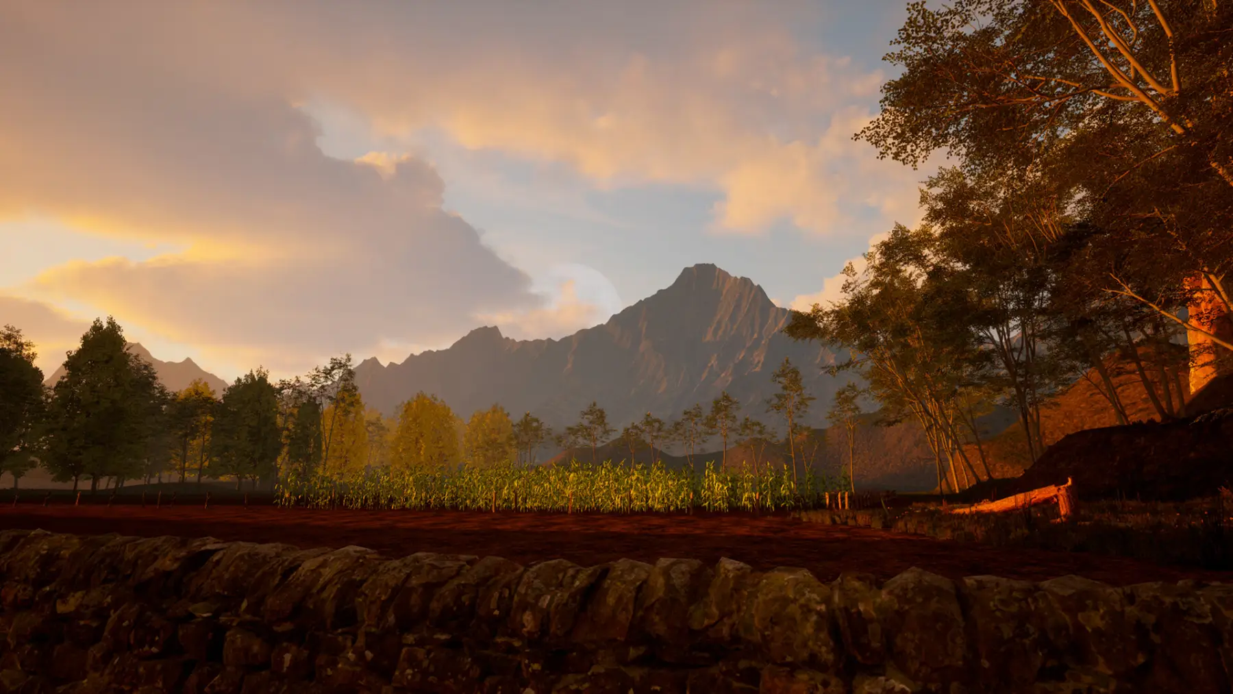 image du jeu