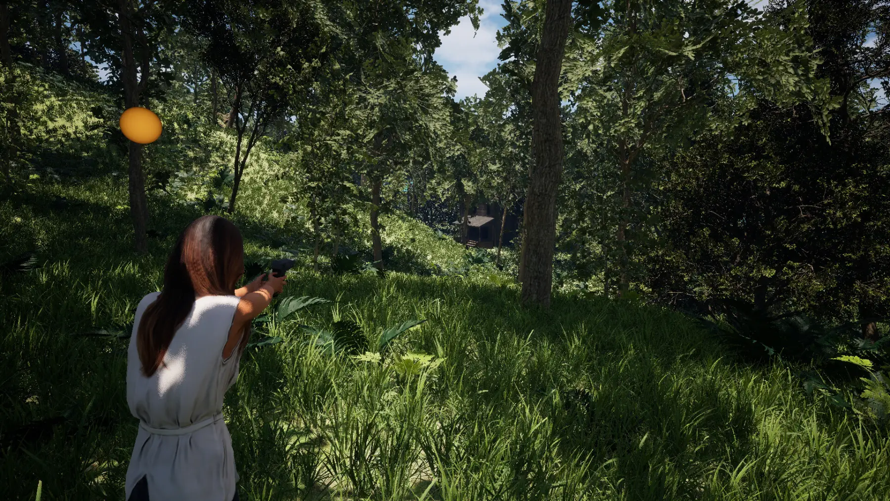 image du jeu
