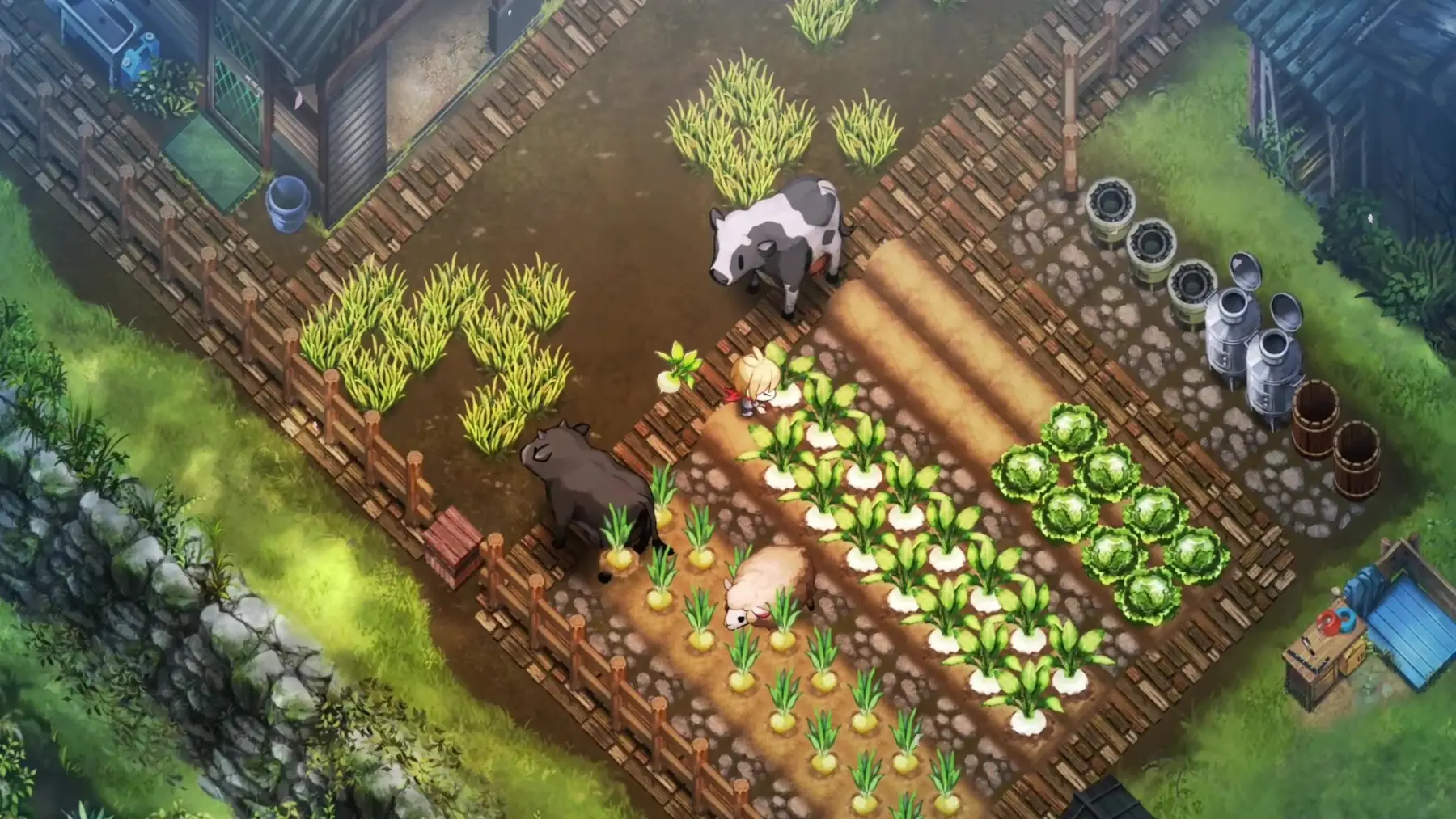 Image du jeu Honogurashi no Niwa