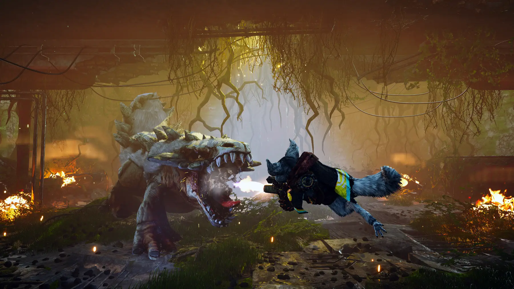 image du jeu