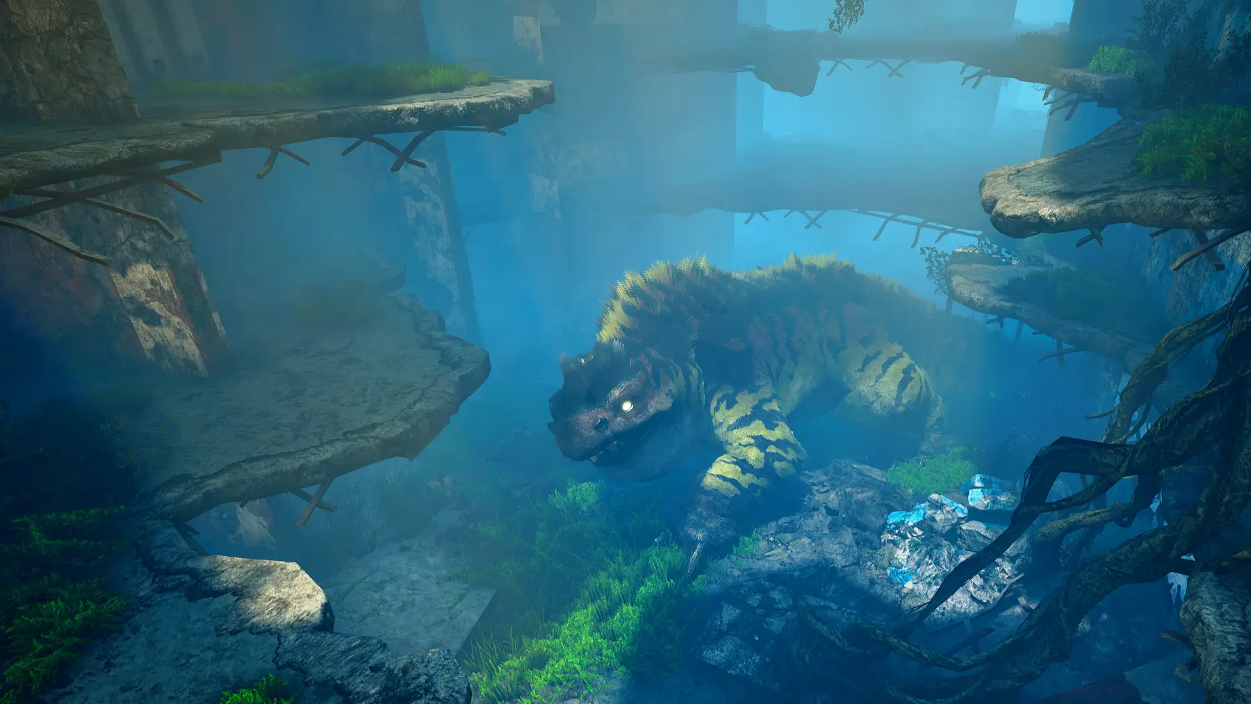 Image du jeu Biomutant