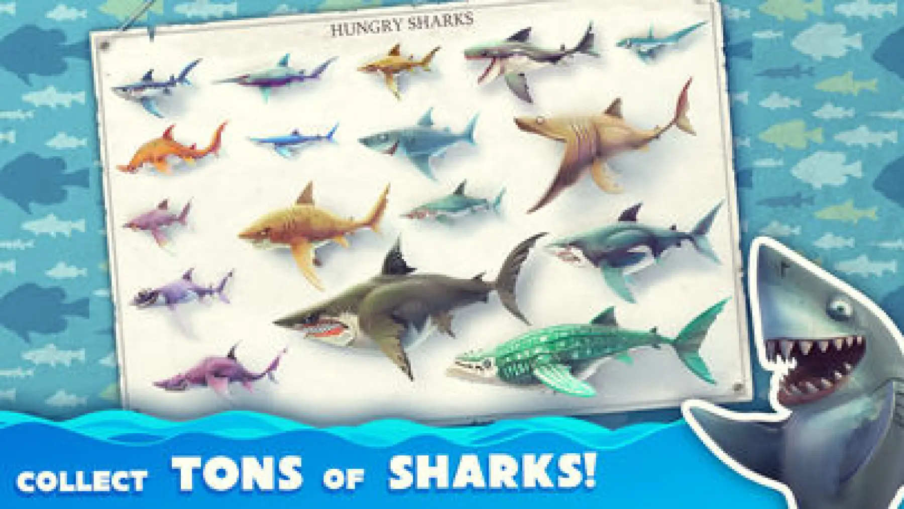 Image du jeu Hungry Shark World