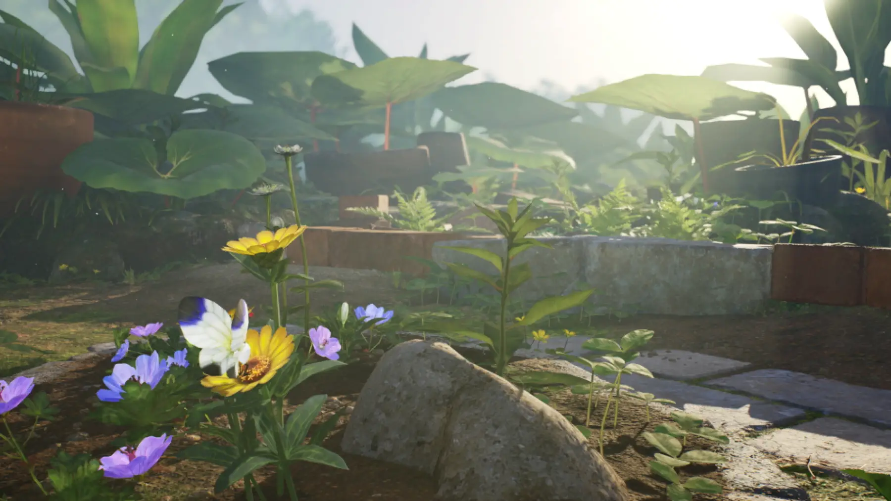 image du jeu