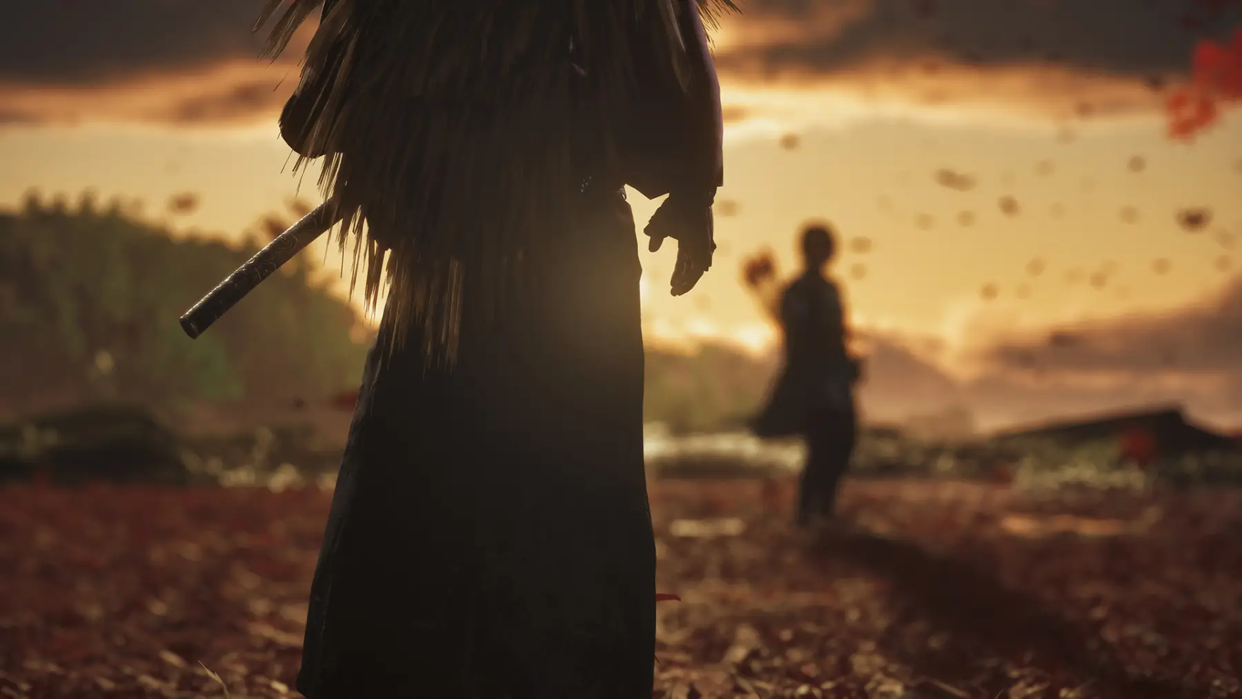 image du jeu